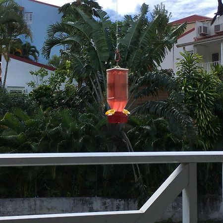 Le Colibri Lejlighed Les Anses-d'Arlets Eksteriør billede
